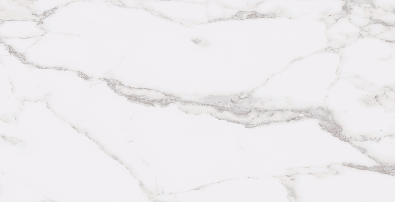 Roca Tile - Statuary Po 12 x 24 R