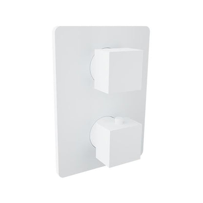 Baril - Rec B05 Trim only for thermostatic pressure-balanced shower control valve with 1-way diverter