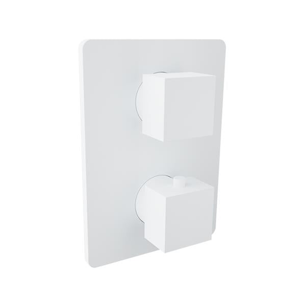 Baril - Rec B05 Trim only for thermostatic pressure-balanced shower control valve with 2-way diverter