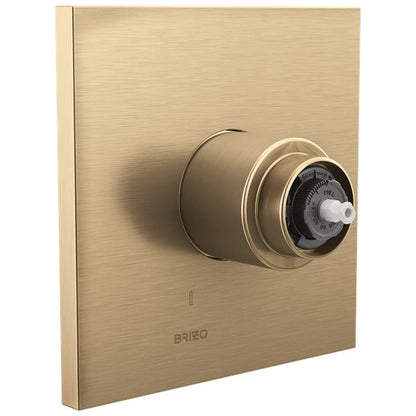 Brizo - Frank Lloyd Wright Pressure Balance Valve Only Trim - Less Handle