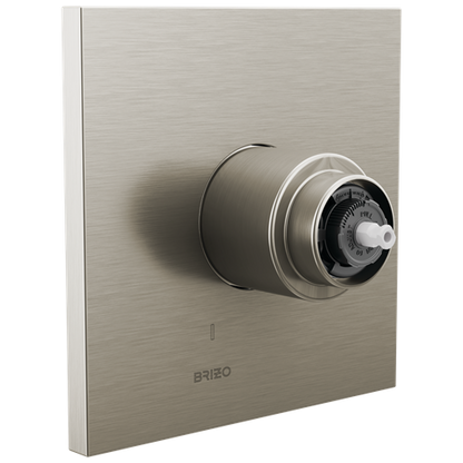 Brizo - Frank Lloyd Wright Pressure Balance Valve Only Trim - Less Handle