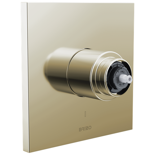 Brizo - Frank Lloyd Wright Pressure Balance Valve Only Trim - Less Handle