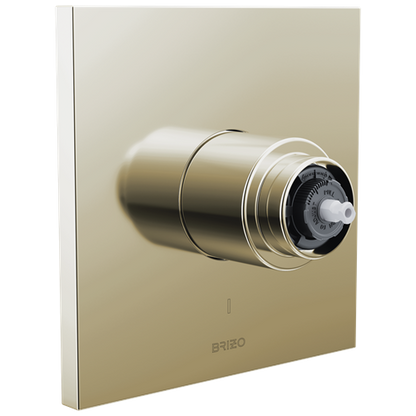 Brizo - Frank Lloyd Wright Pressure Balance Valve Only Trim - Less Handle