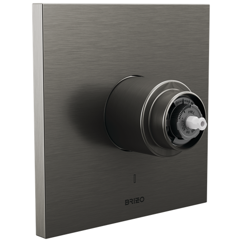 Brizo - Frank Lloyd Wright Pressure Balance Valve Only Trim - Less Handle