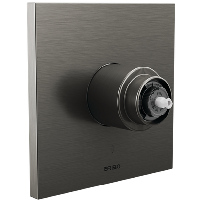 Brizo - Frank Lloyd Wright Pressure Balance Valve Only Trim - Less Handle