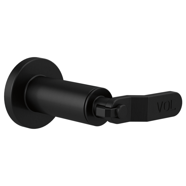 Brizo - Litze Sensori Volume Control Trim - Industrial Lever