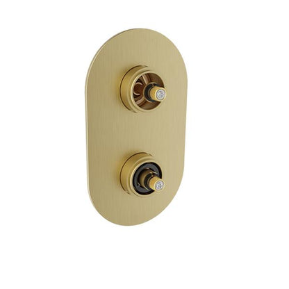 Baril - Air B80 Trim only for thermostatic pressure-balanced shower control valve with 2-way diverter (without handle / shared port)