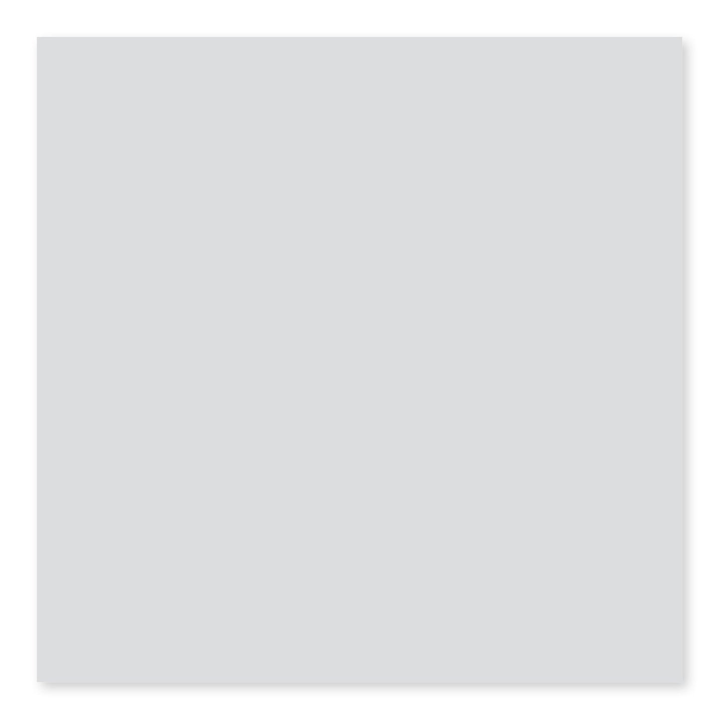 Roca Tile - Bright Tender Gray 3 x 6