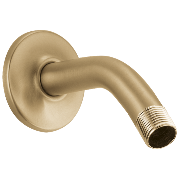Delta - Shower Arm & Flange