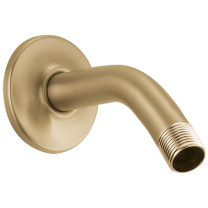 Delta - Shower Arm & Flange