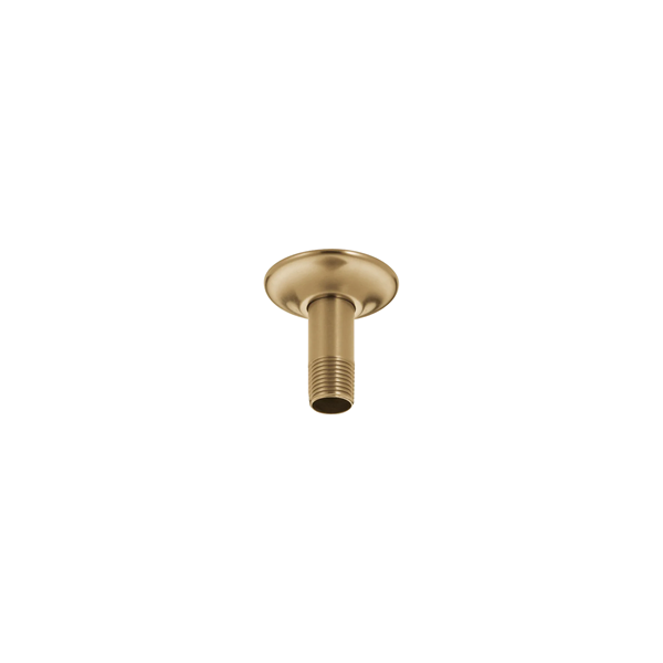 Delta - Ceiling Mount Shower Arm & Flange