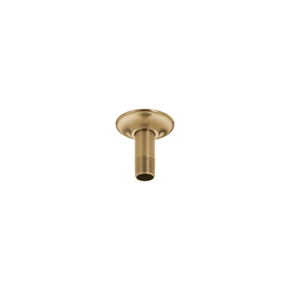 Delta - Ceiling Mount Shower Arm & Flange