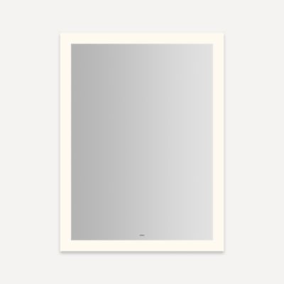 Robern - Vitality Rectangle Mirror, Perimeter Light, 30 X 40, 2700K