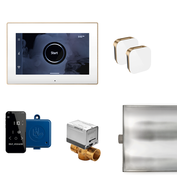 Mr. Steam - Xbutler Max Steam Shower Control Package With Isteamx Control And Aroma Glass Steamhead