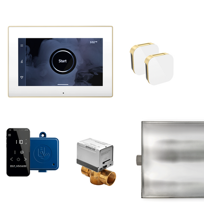 Mr. Steam - Xbutler Max Steam Shower Control Package With Isteamx Control And Aroma Glass Steamhead