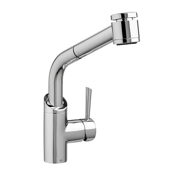 DXV - Fresno Pull Out Faucet - Polished Chrome