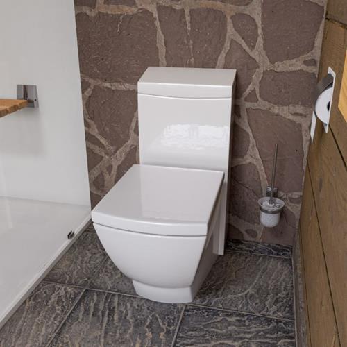 Eago - One Piece High Efficiency Low Flush Eco-Friendly Ceramic Toilet