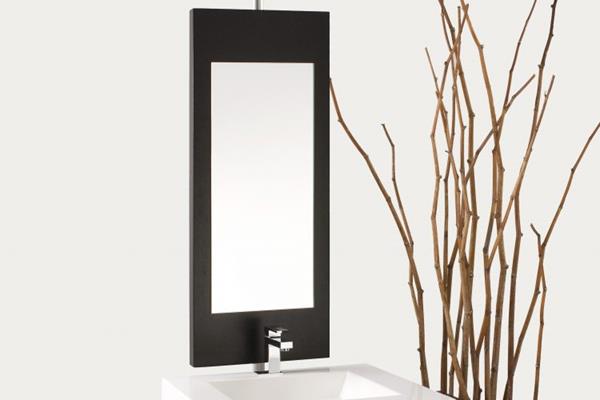 Wetstyle - Mirror - "F" & "Z" - 16 X 54