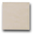 Ceramic Tile Trends - Matte Glazes / Taupe
