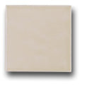 Ceramic Tile Trends - Bright Glazes / Taupe