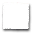 Ceramic Tile Trends - Distressed Bright Glaze / Bright White
