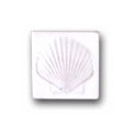 Ceramic Tile Trends - Marina / White Shell
