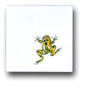 Ceramic Tile Trends - Critters / Frogs
