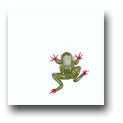 Ceramic Tile Trends - Critters / Frogs