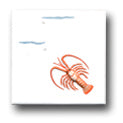 Ceramic Tile Trends - Oceanside