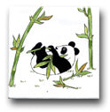 Ceramic Tile Trends - Pandas
