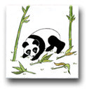 Ceramic Tile Trends - Pandas