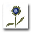 Ceramic Tile Trends - Cachepot Flowers