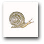 Ceramic Tile Trends - Critters / Snails